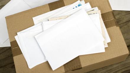 International mail & parcels, domestic freight & courier services