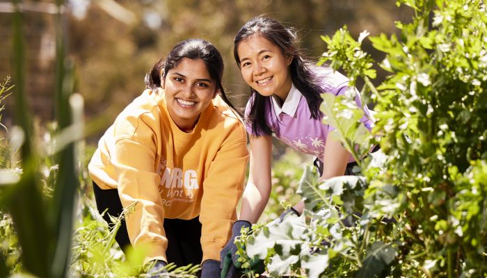 2 ANU female students gardening in the dun at the ANU Kitchen Garden