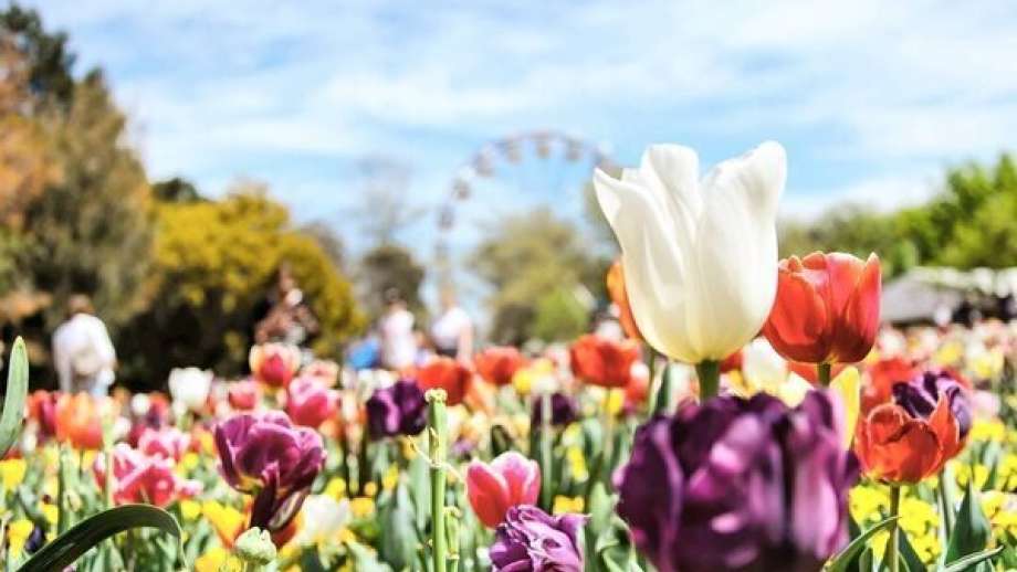 Floriade. Photo: VisitCanberra